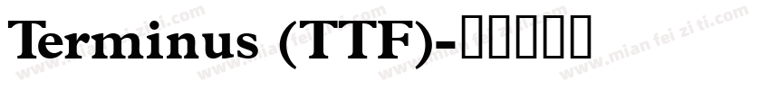 Terminus (TTF)字体转换